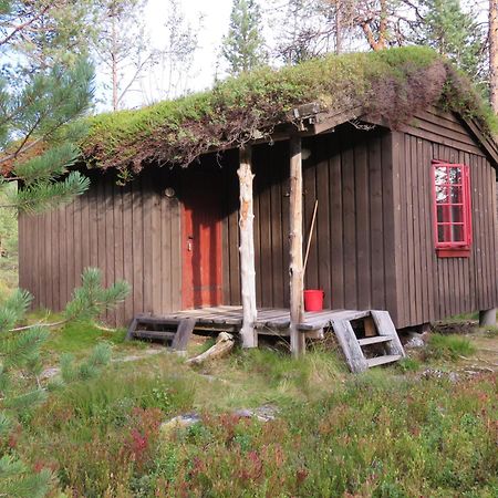 Hov Hyttegrend Viksdalen Camera foto