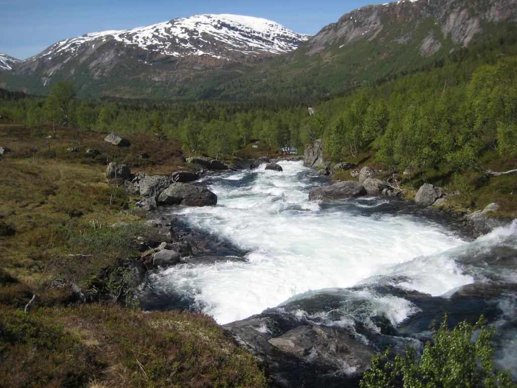 Hov Hyttegrend Viksdalen Esterno foto